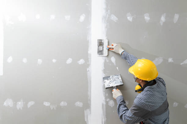 Professional Drywall & Painting Services in Earlham, IA